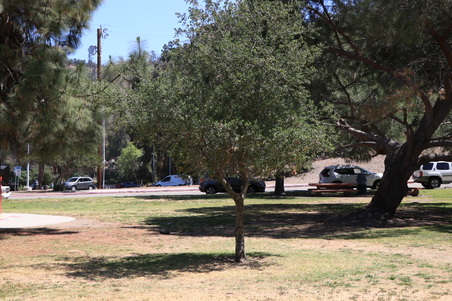 Enlarge photo 30