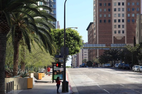 Flower and 5th