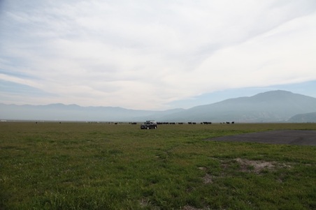 Enlarge photo 22