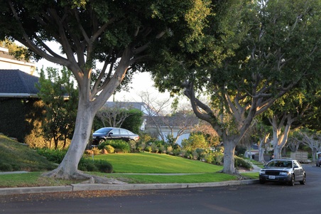 Enlarge photo 10