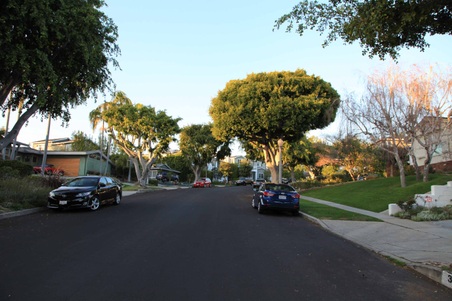 Enlarge photo 20