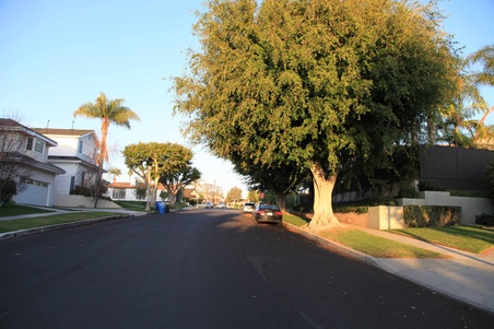 Enlarge photo 31