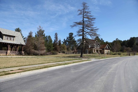 Enlarge photo 13