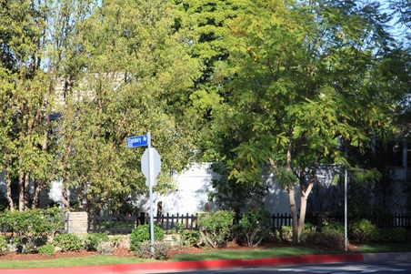 Sherman Oaks 1