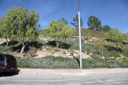 Enlarge photo 35