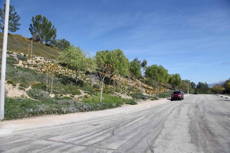 Enlarge photo 36