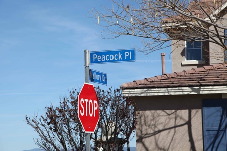 Stevenson Ranch 3