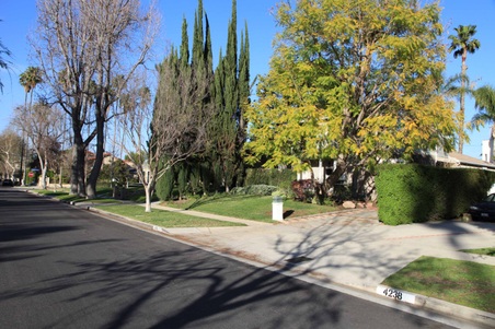 Enlarge photo 22