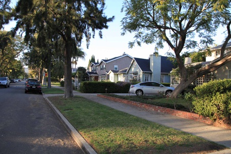 Enlarge photo 25