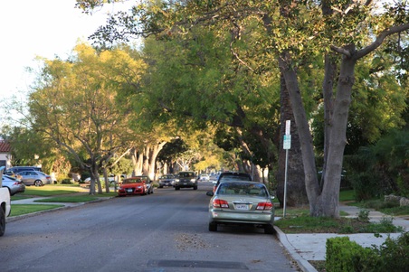 Enlarge photo 14