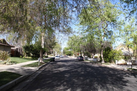 Enlarge photo 35