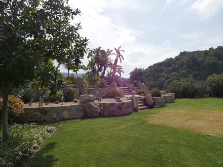 Enlarge photo 15