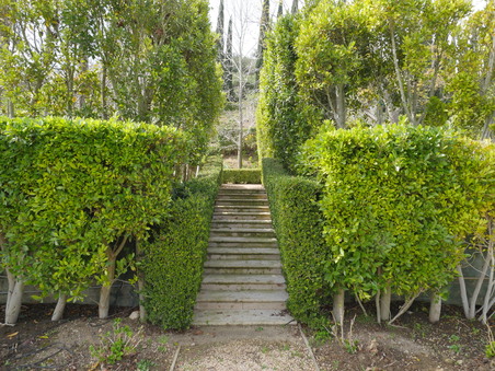Enlarge photo 22