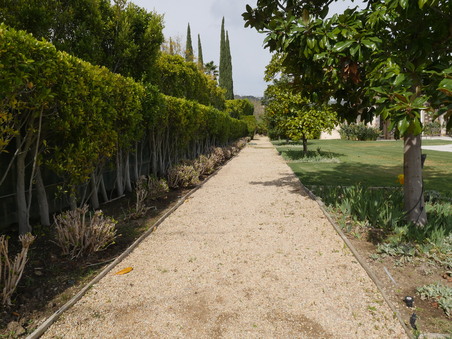 Enlarge photo 23
