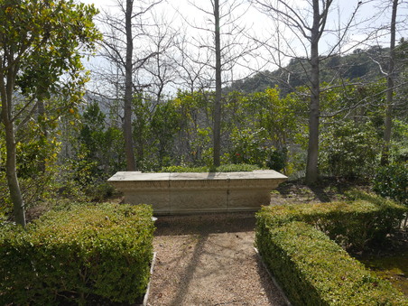 Enlarge photo 24