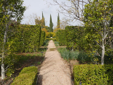 Enlarge photo 25