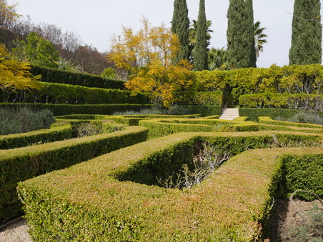 Enlarge photo 28
