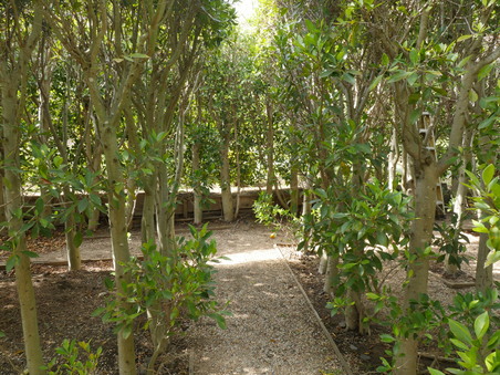 Enlarge photo 32