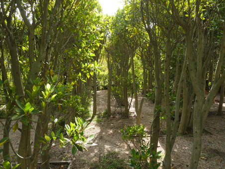 Enlarge photo 33