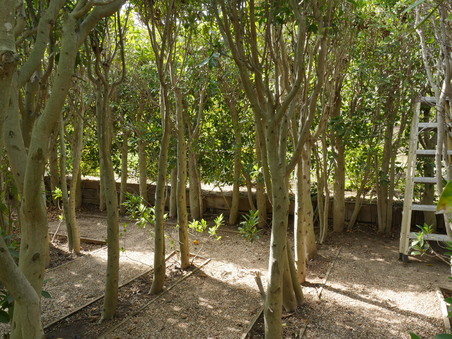 Enlarge photo 34