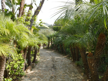 Enlarge photo 35