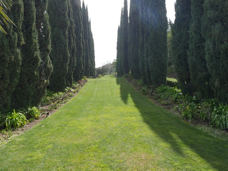 Enlarge photo 36