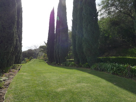Enlarge photo 38