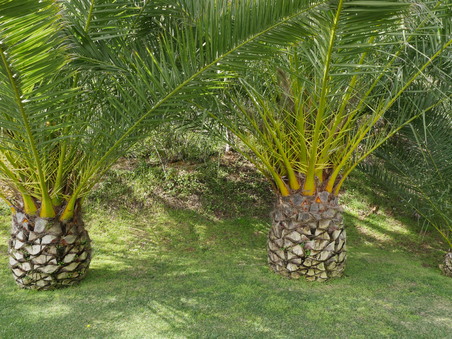 Enlarge photo 39