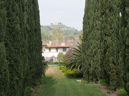Enlarge photo 41