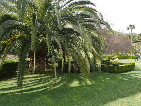 Enlarge photo 43