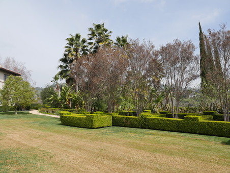Enlarge photo 46