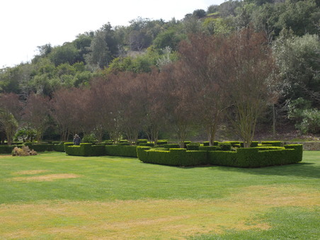 Enlarge photo 52