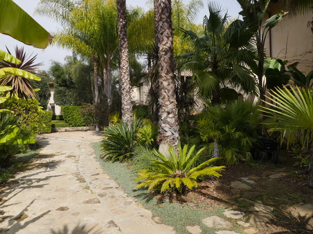 Enlarge photo 53