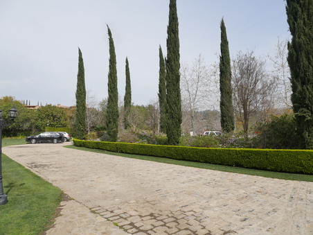Enlarge photo 64