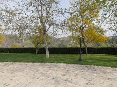 Enlarge photo 70