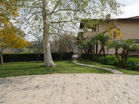 Enlarge photo 71