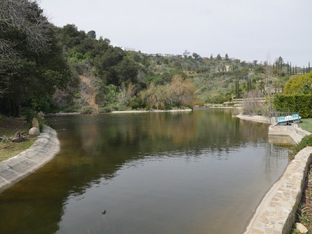 Enlarge photo 72