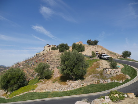 Enlarge photo 55