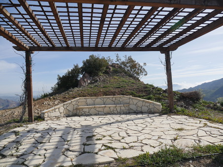 Enlarge photo 61