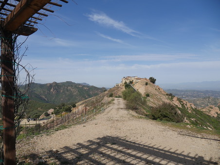 Enlarge photo 63