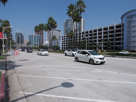 Shoreline Drive
