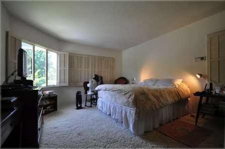 Enlarge photo 41