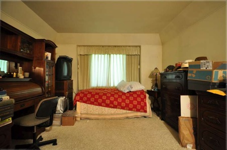 Enlarge photo 46