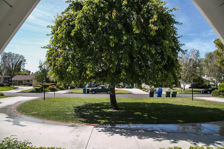 Enlarge photo 18