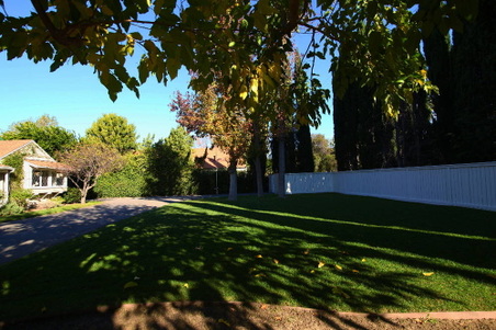 Enlarge photo 16
