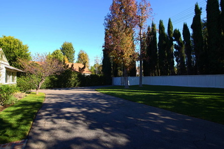 Enlarge photo 20