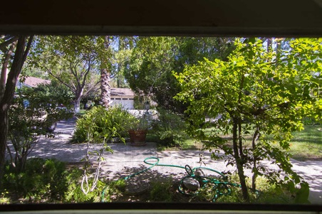 Enlarge photo 16