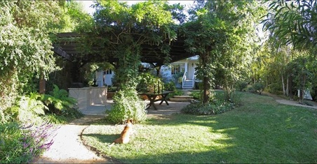 Enlarge photo 37