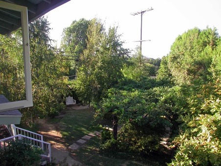 Enlarge photo 38