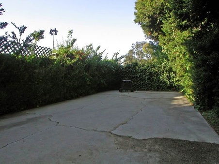 Enlarge photo 46